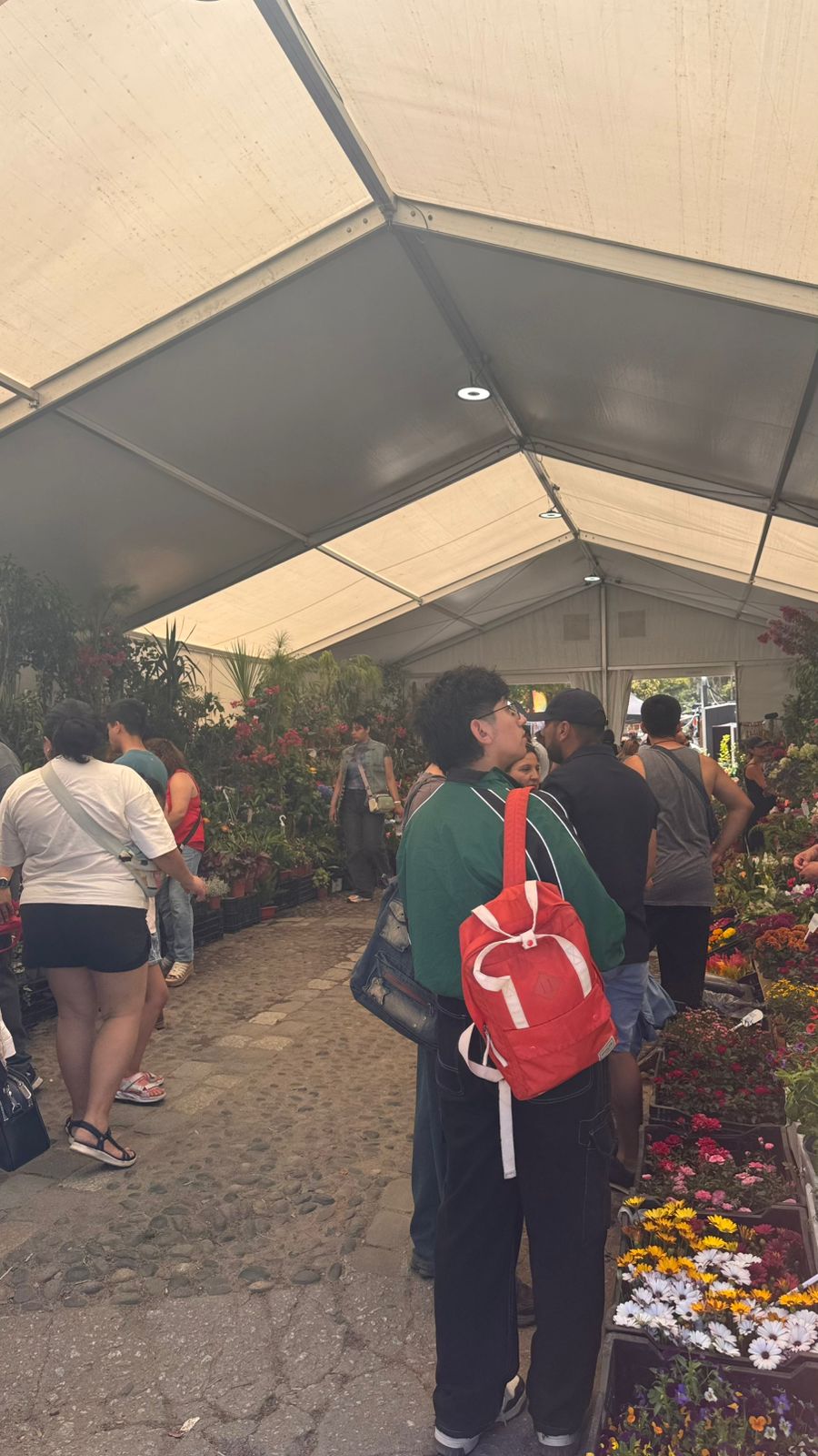 WhatsApp Image 2026-01-23 at 11.13.43 (1)