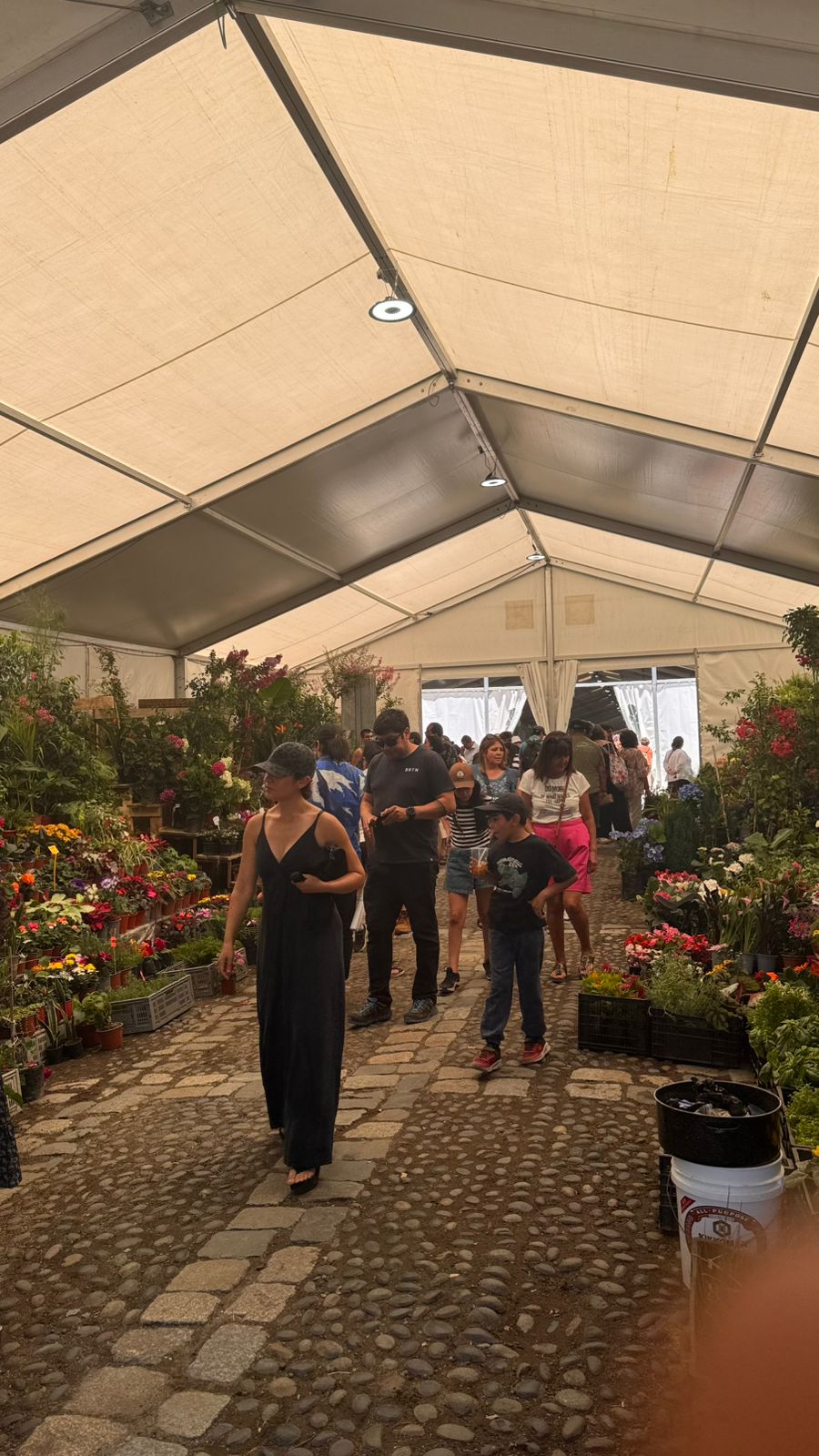 WhatsApp Image 2026-01-23 at 11.13.43 (3)