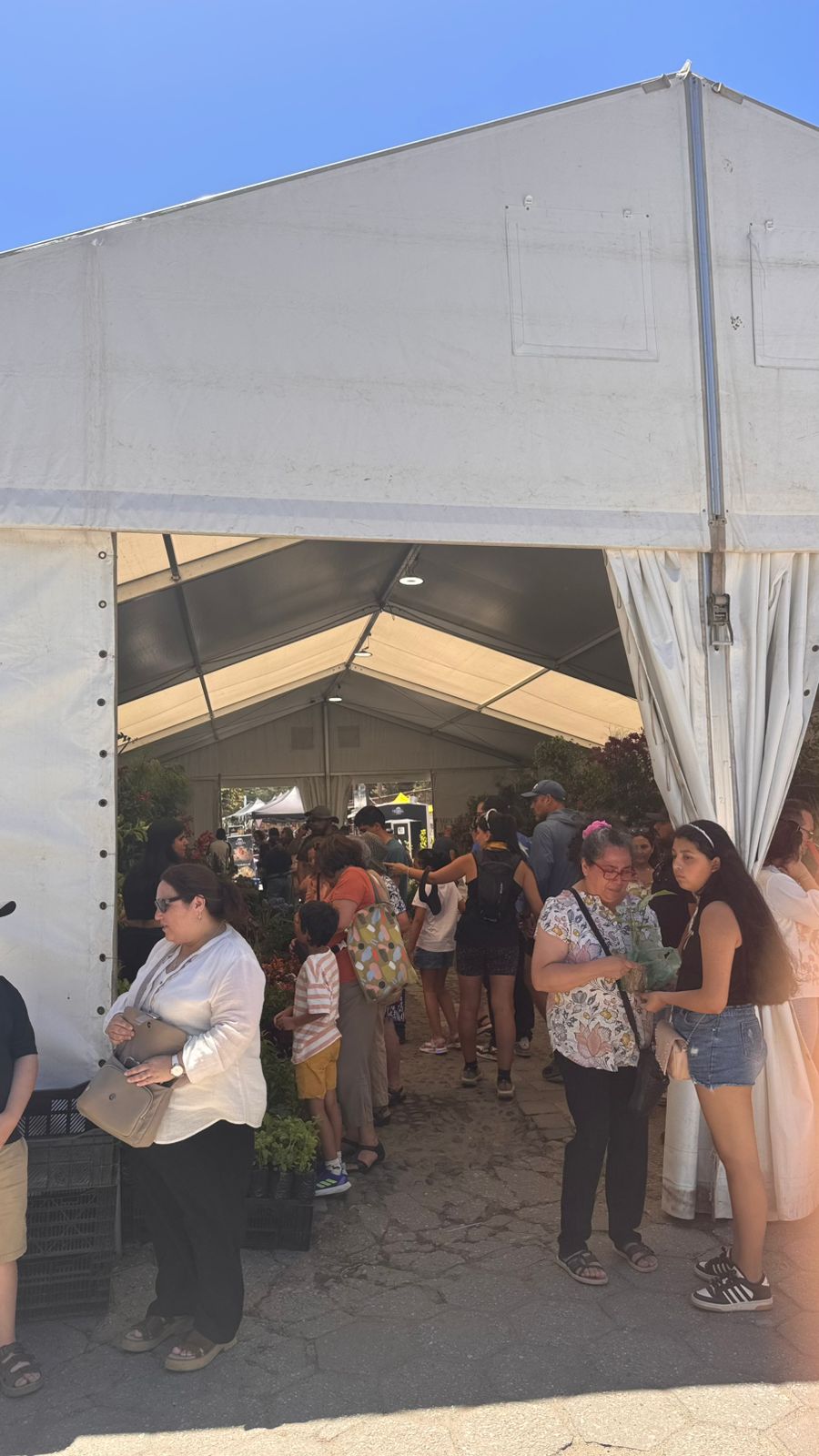 WhatsApp Image 2026-01-23 at 11.13.44