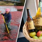 portada - 2026-04-19T134351.035