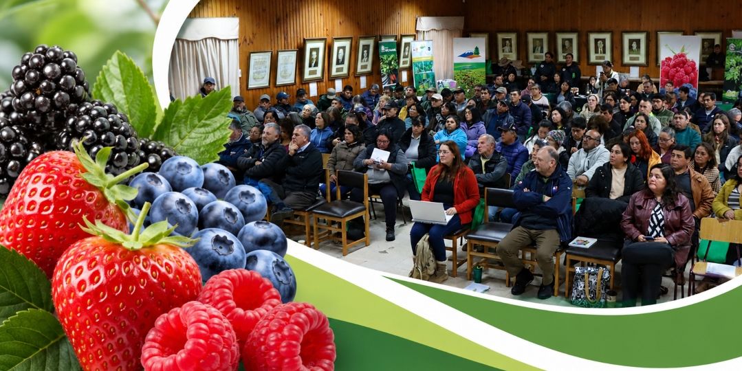 Productores de La Araucanía fortalecen asociatividad para abrir nuevos ...