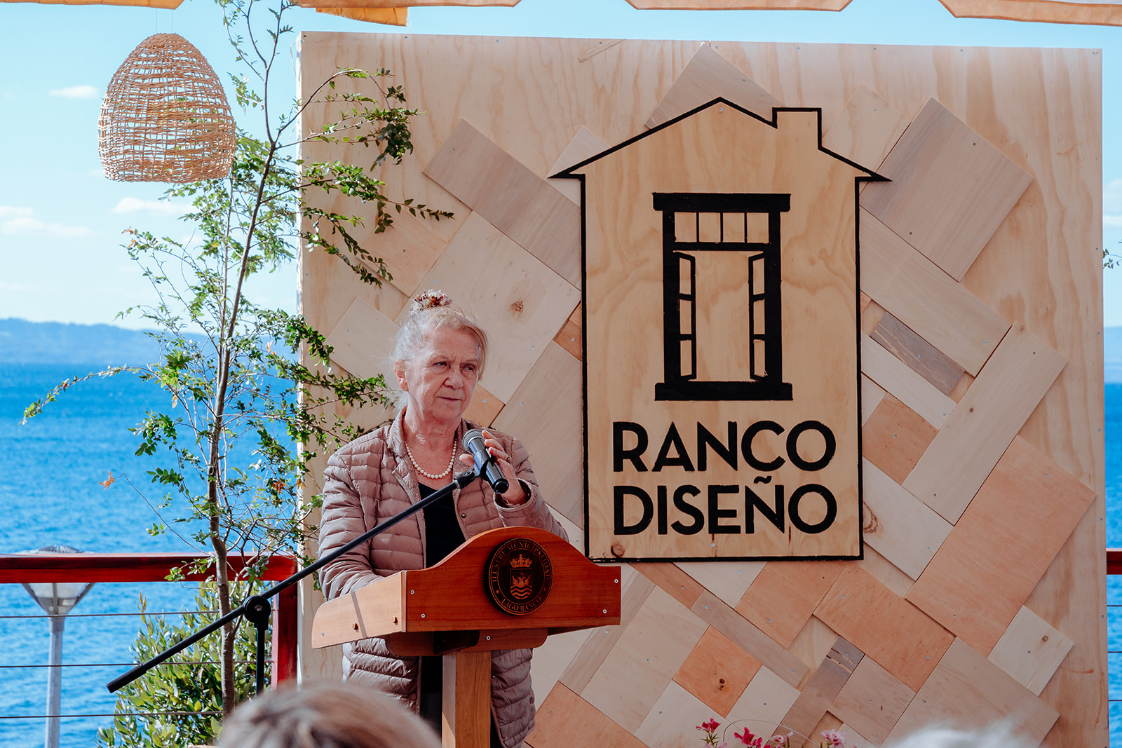 Ranco Diseño
